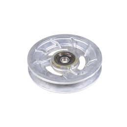 100021005 skriemulys