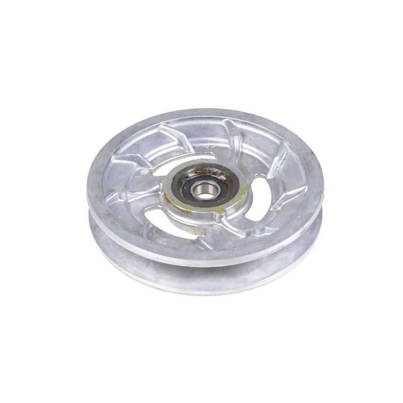 100021005 skriemulys