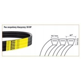 V formos diržas 3b bp 2940 bizon