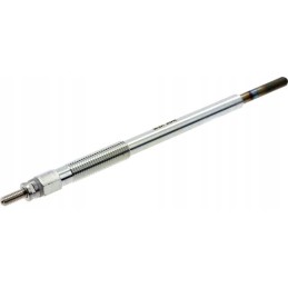 Kaitinimo žvakė 1g41065510