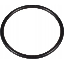 O-žiedo sandariklis