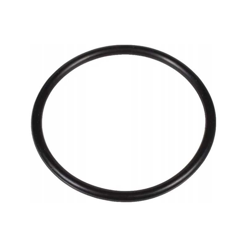 O-žiedo sandariklis