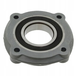 Guolių komplekto korpusas ih 52580396079 granitas