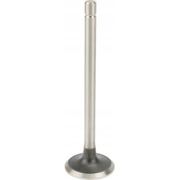 New Holland išmetimo vožtuvas