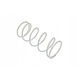 La353561173 suspaudimo spyruoklė