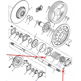 71399487 šunų sankaba