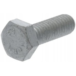 Šešiakampis varžtas