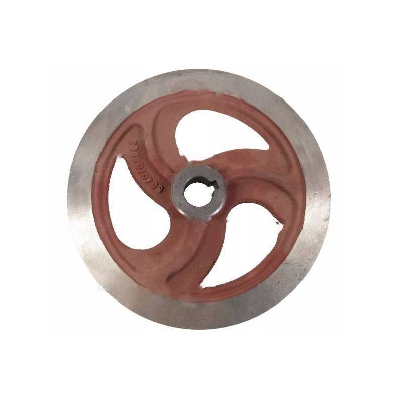 Bizon 3 grūdų skriemulys 5040200034 gaminys