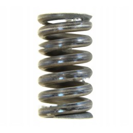 Sankabos spyruoklė fi 6mm bison 5060050210 gaminys