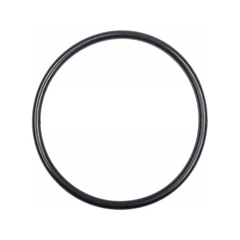 Pierscien 394868x1 kramp