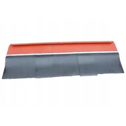 Visiškas bizonų rekordas