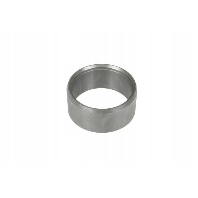 089775 0 pavaros kreipiamoji mova