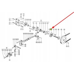 686242 0 guolis su korpusu