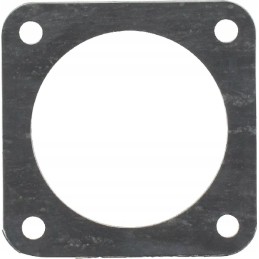 Zetor termostato tarpiklis