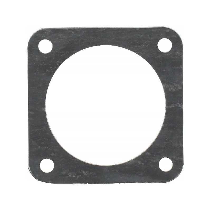 Zetor termostato tarpiklis