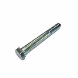 Specialus bizoninis varžtas