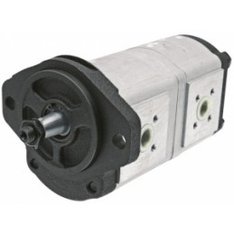 Hidraulinis siurblys renault 103 52 110 54 bosch