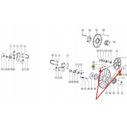 801494 40 grandinės grandis S32