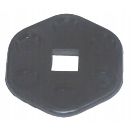 Skydas perduodantis anna repeller