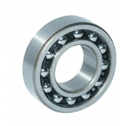 Savaime išsilyginantis rutulinis guolis ina fag 1210ktvhc3