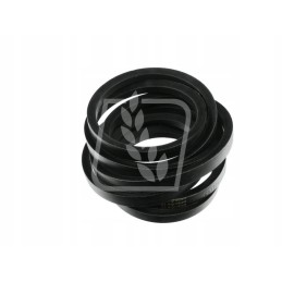 Pas 22x4420 klasės dominatorinius vartus 061872