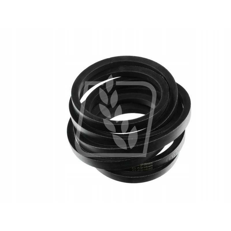 Pas 22x4420 klasės dominatorinius vartus 061872