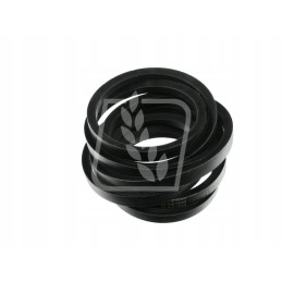 Pas 22x4420 klasės dominatorinius vartus 061872