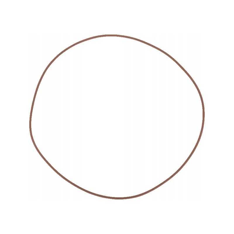 O-žiedo sandariklis