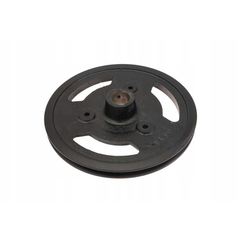 100172055 pasėlių tiekimo skriemulys