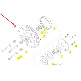 100172055 pasėlių tiekimo skriemulys
