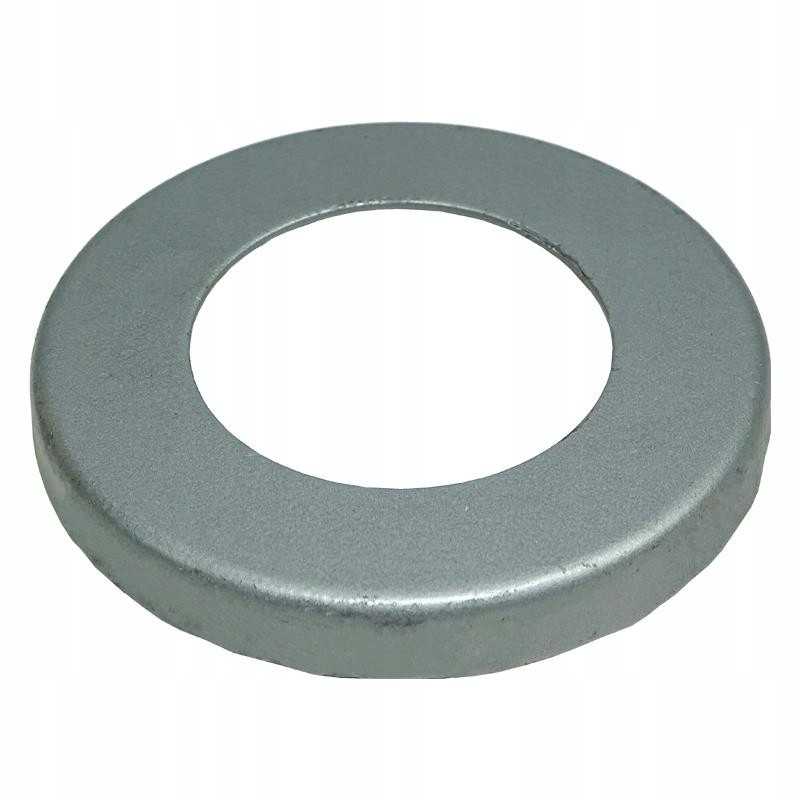 Bizono sandarinimo dubuo