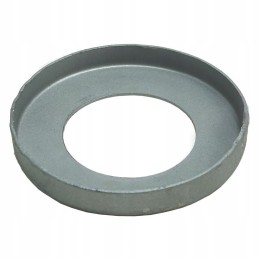 Bizono sandarinimo dubuo