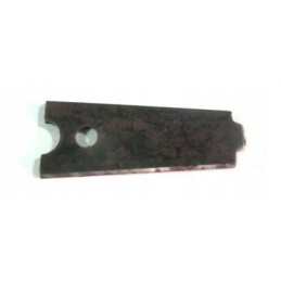 Lygus plienas Ws 1 2