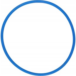 Cilindro įdėklo tarpinė