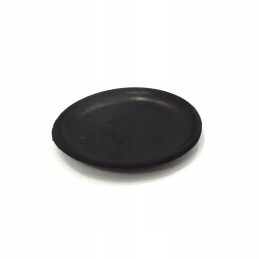 Pagalvėlė, dengianti kerpių separatorių