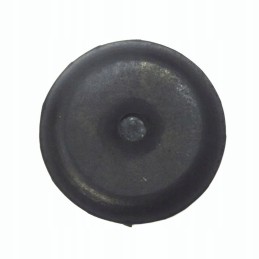 Pagalvėlė, dengianti kerpių separatorių