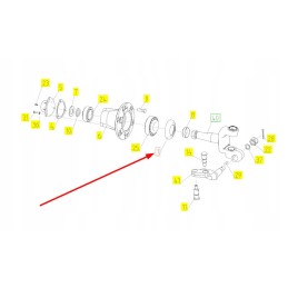 100048801 rato guolio dangtis