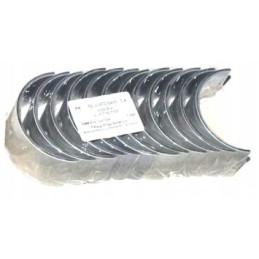 Švaistiklio guoliai Bizon p4 6c107