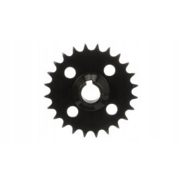 Tiekimo krumpliaratis New Holland TC Z24 84037151