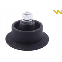 Pirštų juostos ritinys, lenkiški guoliai, Anna Warynsk