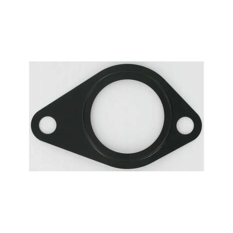 Vandens siurblio sandariklis