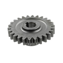 Tiekimo krumpliaratis z26 claas 668822 0 vnt