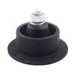 Pirštų juostos ritinys, lenkiški guoliai, Anna Warynski