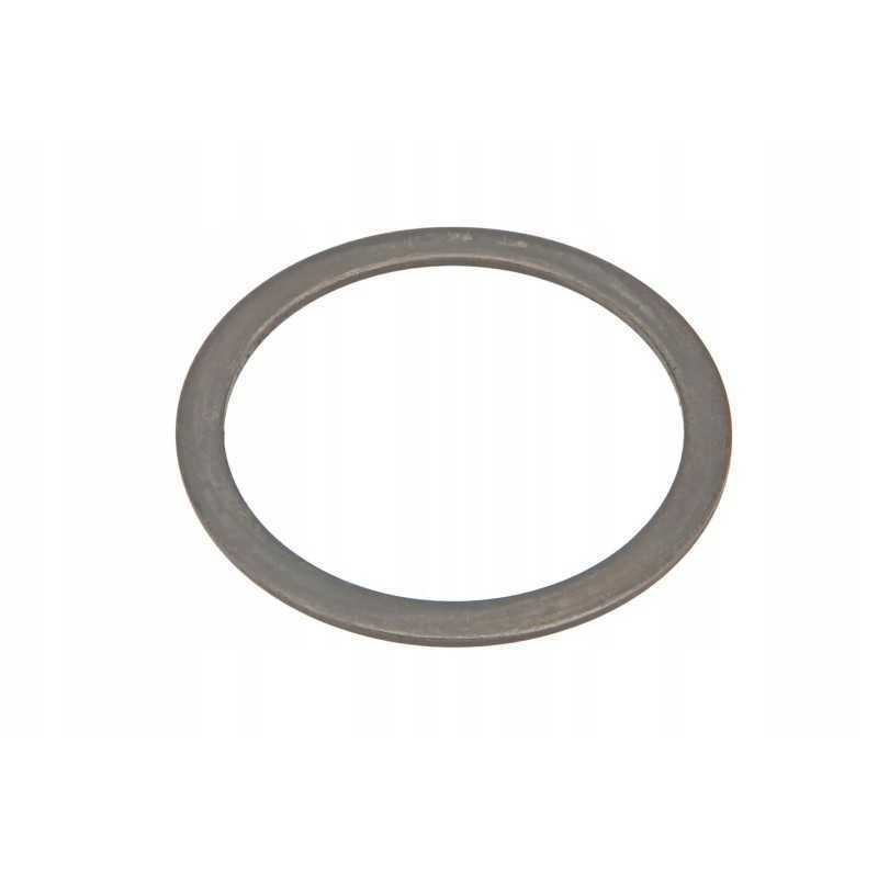 610021178 ašies tarpiklis