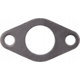 Kuro tiekimo siurblio sandariklis