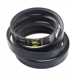 V formos dirzas claas 644538 0 vartai 1623311