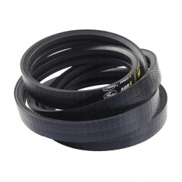 V formos dirzas claas 644538 0 vartai 1623311