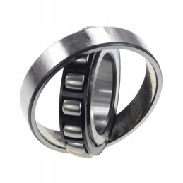 Guolis 55x100x21mm claas 215492 0 originalus