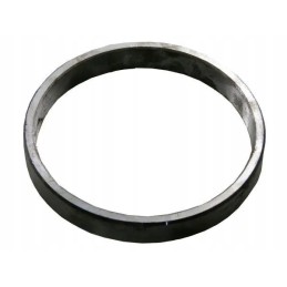 Bison bepakopis transmisijos žiedas