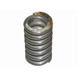 Bison perkrovos sankabos spyruoklė